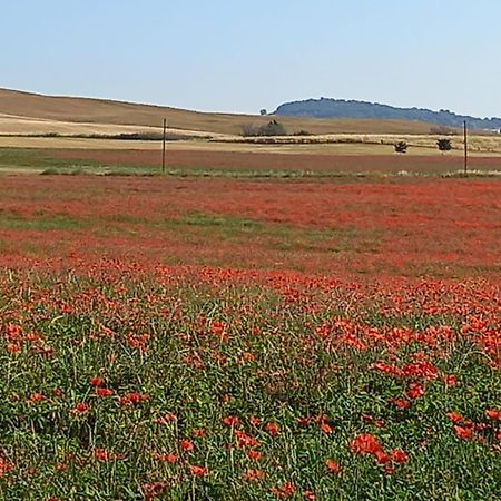 Appartamento Con Vista Panoramica Pienza Bagian luar foto