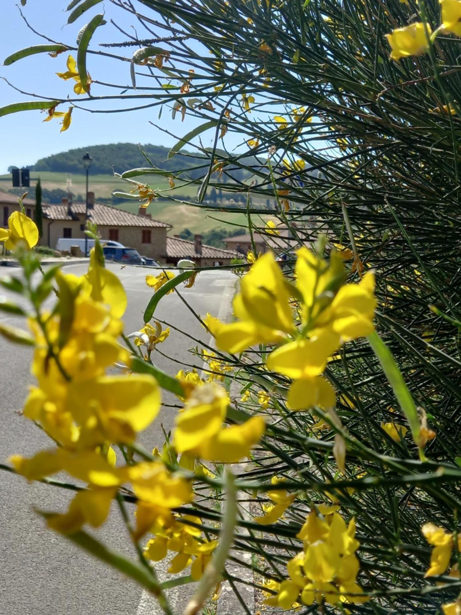 Appartamento Con Vista Panoramica Pienza Bagian luar foto